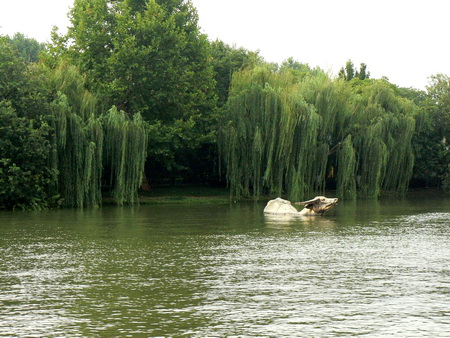 Hangzhou